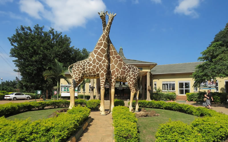 Uganda-Wildlife-Education-Centre